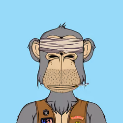 Mad Monkey Sea Club #3645
