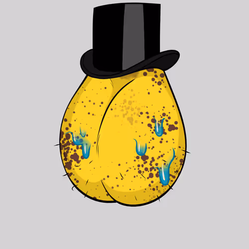 Nonfungiballs Nft