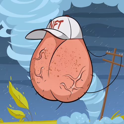 Nonfungiballs Nft