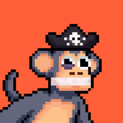 Just Chimps #2520