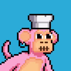 Just Chimps #2411
