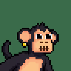 Just Chimps #2162