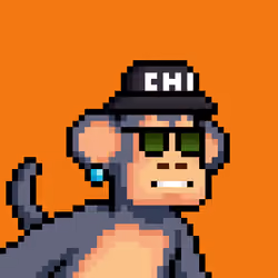 Just Chimps #2164