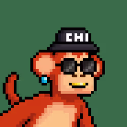 1205