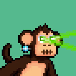 Just Chimps #2551