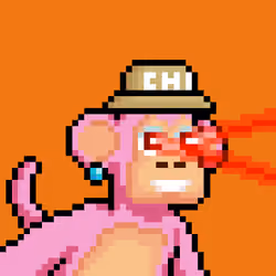 Just Chimps #2901