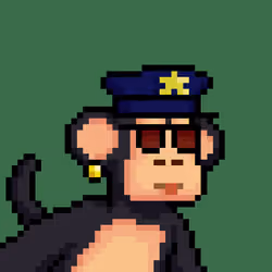 Just Chimps #1677
