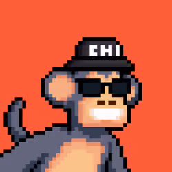 Just Chimps #1172