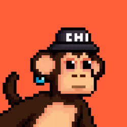 Just Chimps #2628
