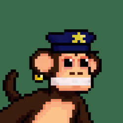Just Chimps #2705