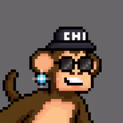 Just Chimps #1533