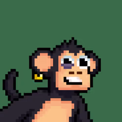 Just Chimps #2824