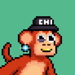 Just Chimps #3256