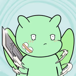 Fawey #2984