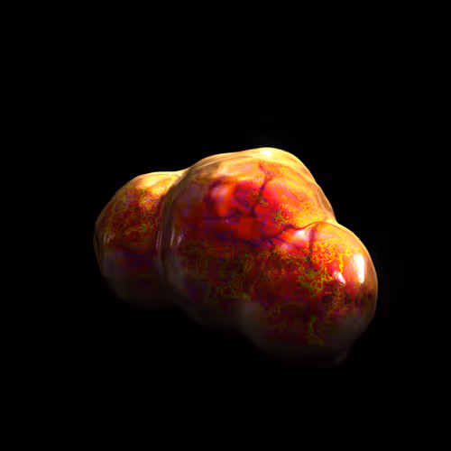 Item #56 Media