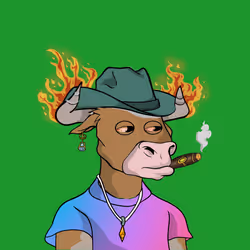 62