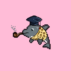 MO pixel pet #350