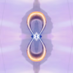 #55