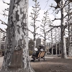 The Giving Tree #3