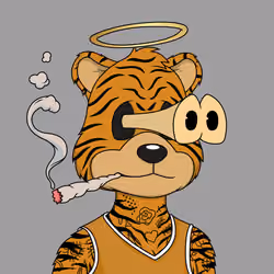 Degen Bearz #903