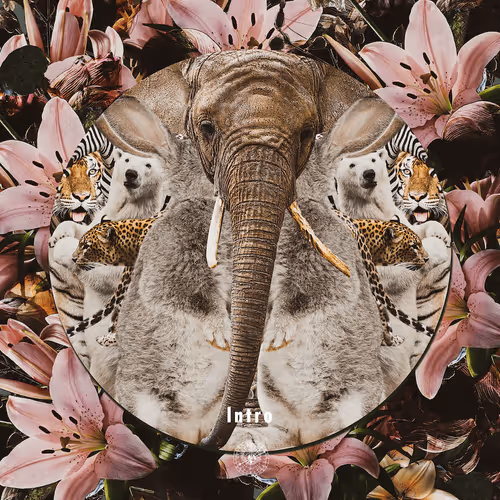 Item #100000101 Media