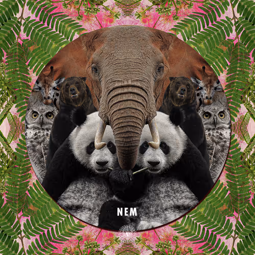 Item #100000201 Media