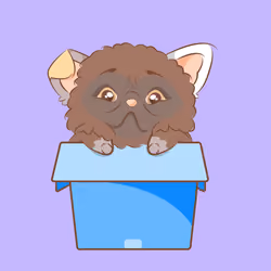 Sphynx #162