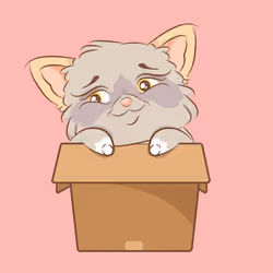 Sphynx #153