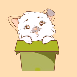 Maine Coon #8