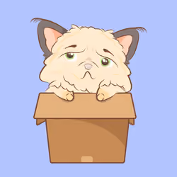 Ragdoll #241