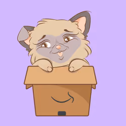 Ragdoll #14