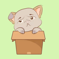 British Shorthair #26