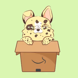 Sphynx #23