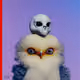 590