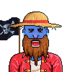 Pirate #982