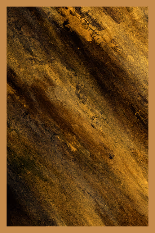 Item #3000000497 Media