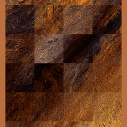 Terroir #309