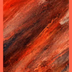 Terroir #211