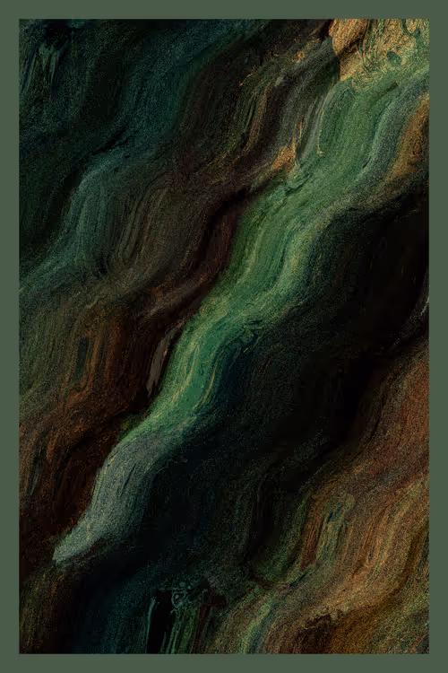 Item #3000000443 Media