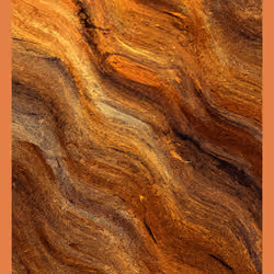 Terroir #375
