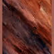 3000000342
