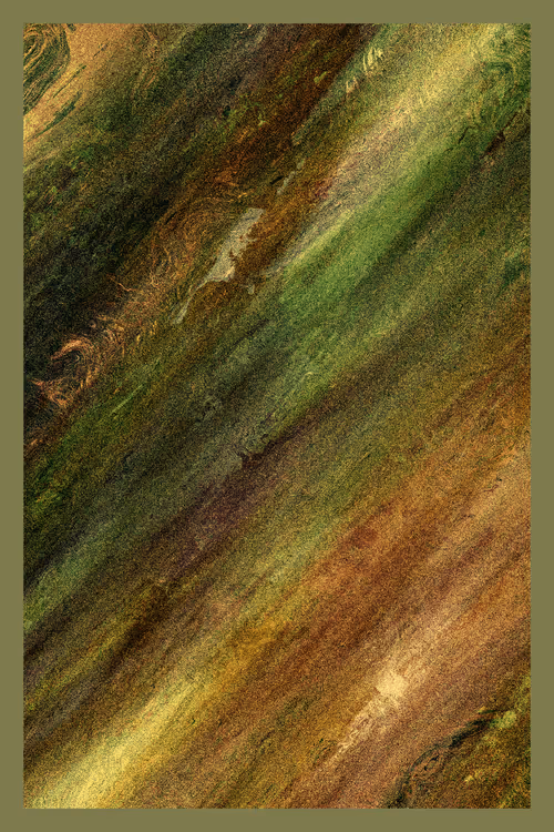 Item #3000000507 Media