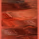 3000000202