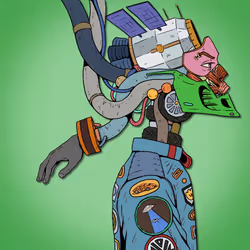 455