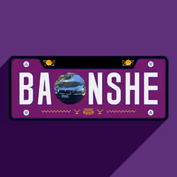 Meta License Plates #2076