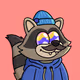 SDdigiFOGG