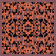 1100000001000016