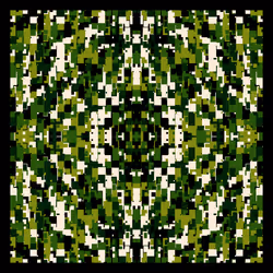 1100000001000025