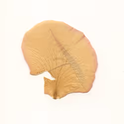 13098