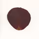 2126